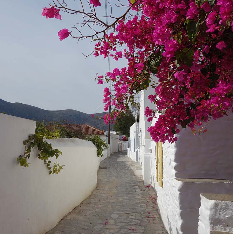 Ruelle à Artemonas, Sifnos