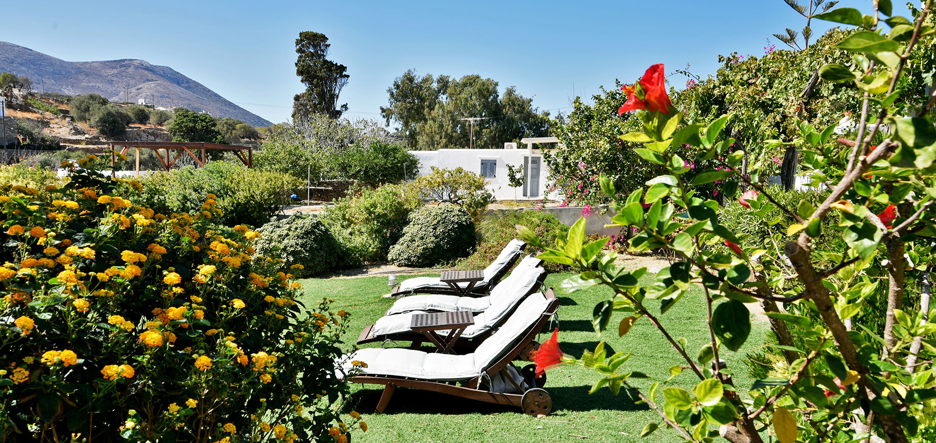 Myrto bungalows στον Αρτεμώνα της Σίφνου